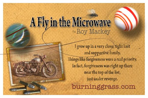 A Fly in the microwave
