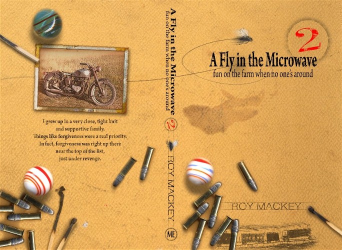 A Fly in the Microwave 2 by Roy Mackey