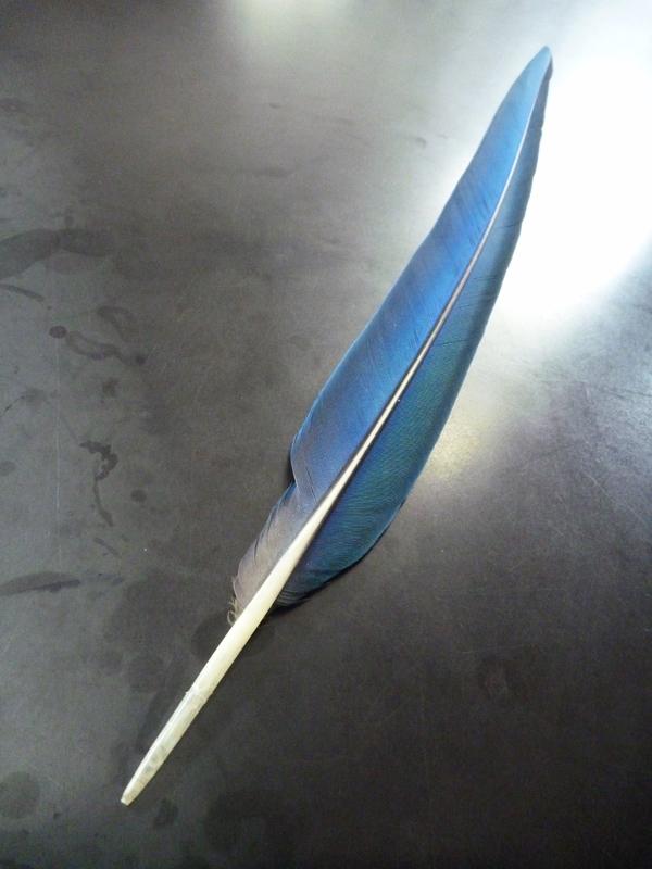 parrot feathers, flamingsteel.com, roy mackey, steel sculpture